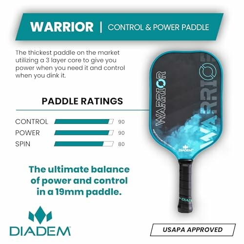 Diadem Warrior control and power paddle with ratings and features